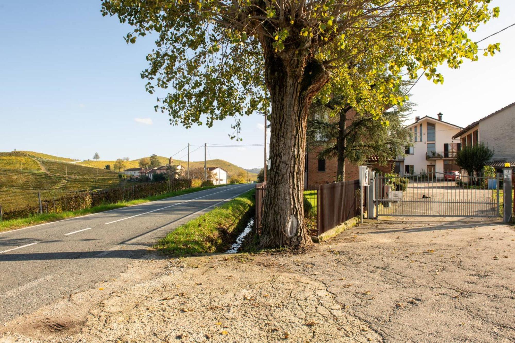 Casa Rubbo - Appartamento In Collina 'Monviso' Alba Kültér fotó